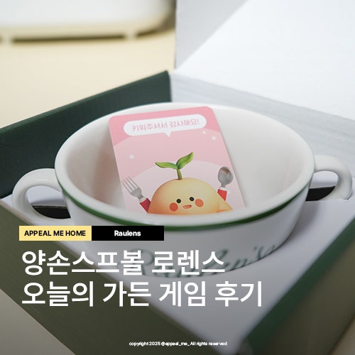  양손스프볼 오늘의가든 사은품이지만 매력적인 디자인 로렌스 후기