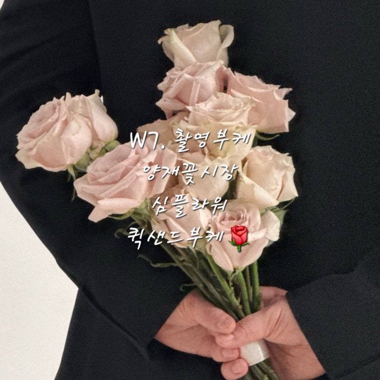 W7. 심플라워촬영부케준비양재꽃시장 가성비 부케 내돈내산