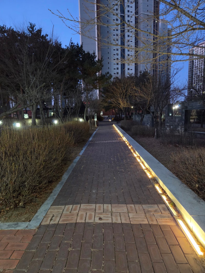 정책지식 2026.1.13. : 네이버 블로그