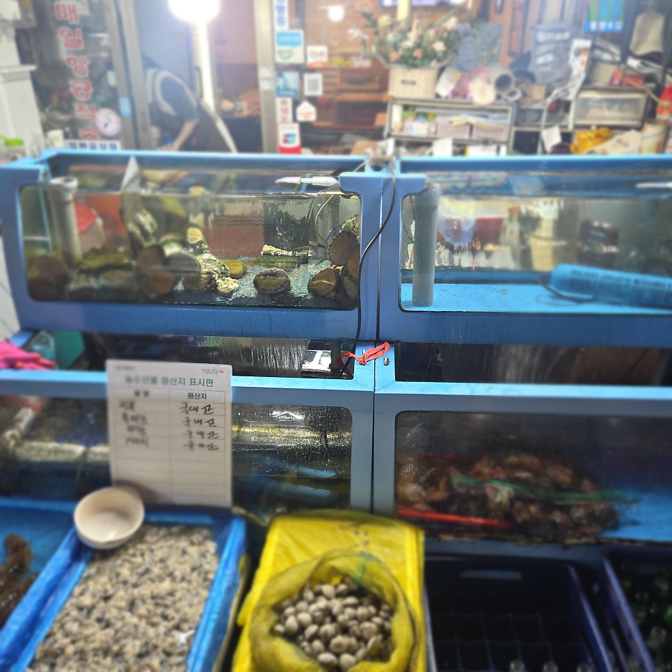 제주도아줌마네집 사진 2