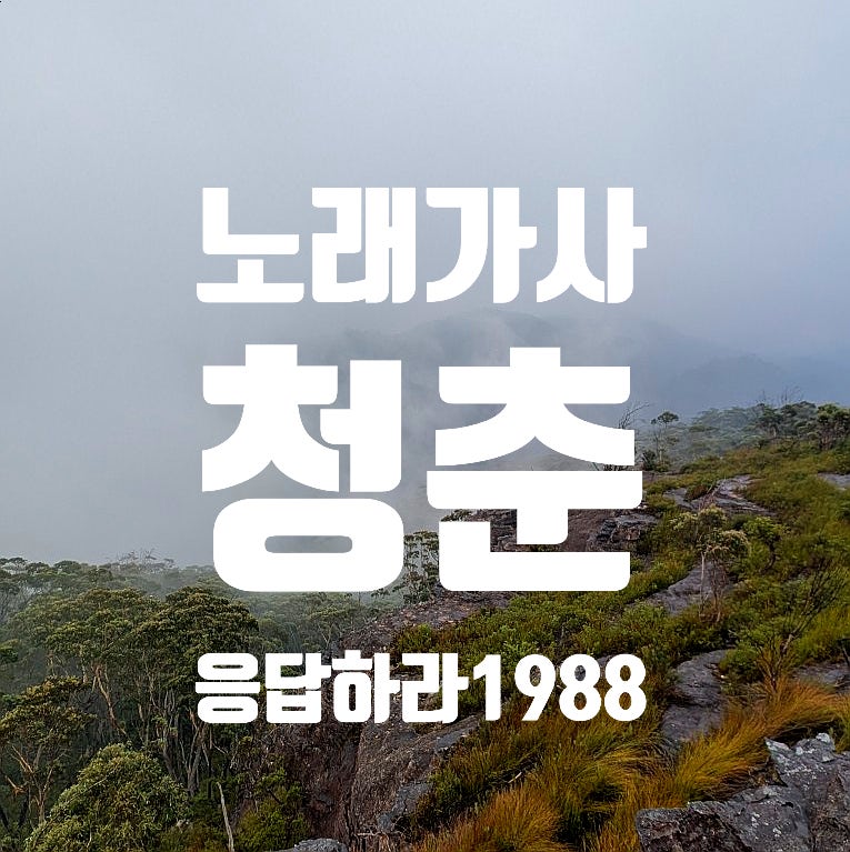 청춘 노래 가사, 김필 (ft. 김창완/ 응답하라 1988)
