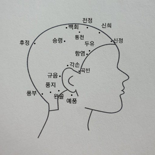 경혈,머리, 목덜미 혈자리 알아보기