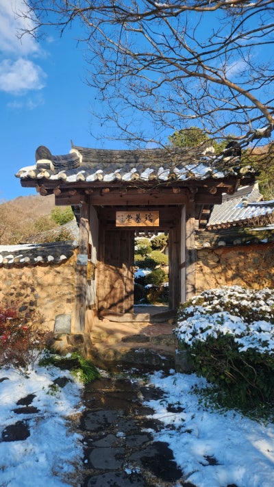 사진 2