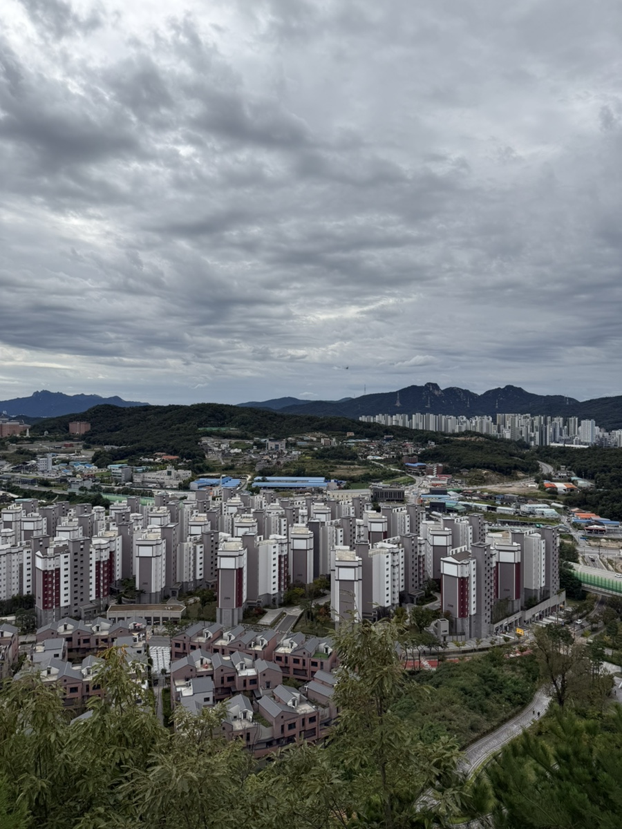 열정김밥 사진 6