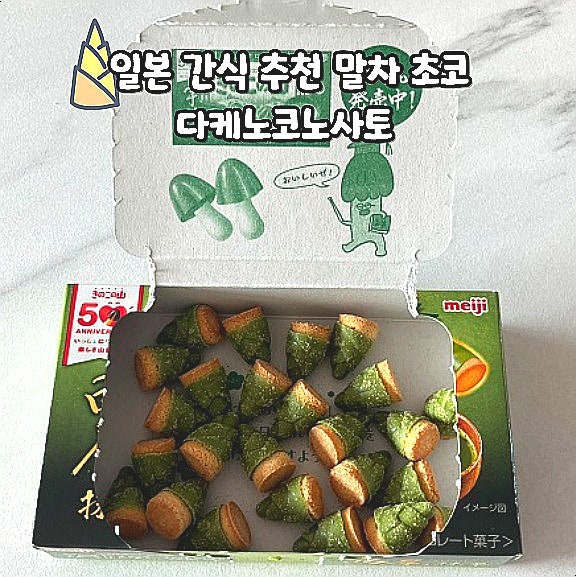  일본 간식 말차 죽순 다케노코노사토 메이지 초콜릿 과자 후기