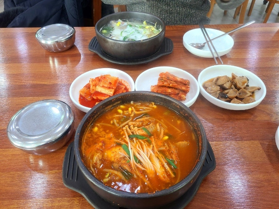 손가동태 사진 6