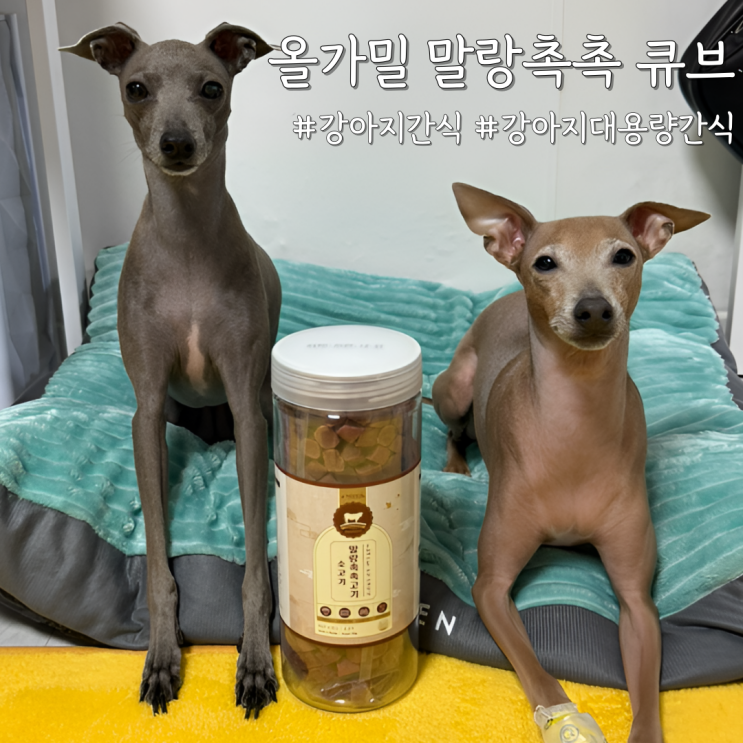  다견가정도 걱정 없는 강아지대용량간식 [올가밀 말랑촉촉 소고기 큐브]