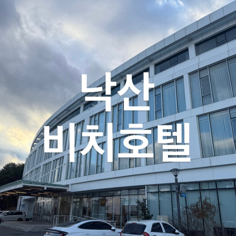 강원도 양양 여행 l 포타라카 낙산비치웰니스 일출명소 해수사우나 조식포함 온돌방 내돈내....