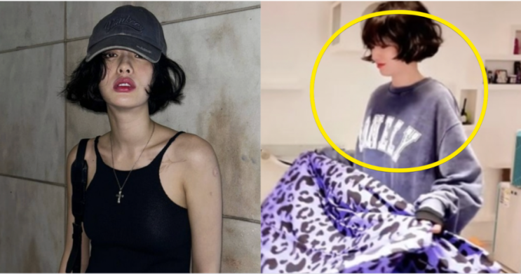  나나 자택 침입 강도 사건, 피해자가 가해자로? ‘살인미수’ 역고소 첫 공판 일정 재조명 (+구리 집·논란·어머니·인스타·무술)️