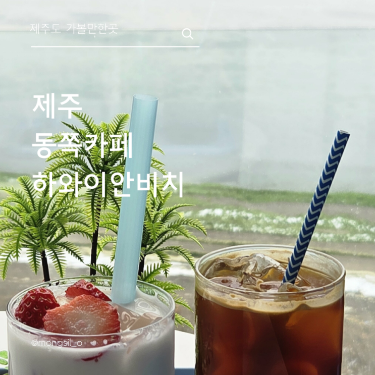  하와이안비치카페 제주도동쪽 날씨 좋을때 재방문 꼭 해야겠다!!