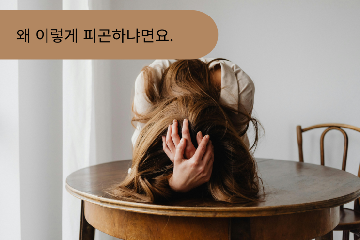  간 피로 증상 7가지 간 건강 자가 진단으로 만성 피로 탈출한 솔직 후기 (2026)