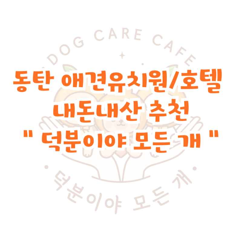 사진 2