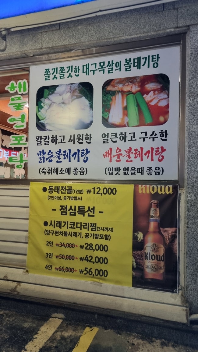 푸른바다볼테기 사진 4