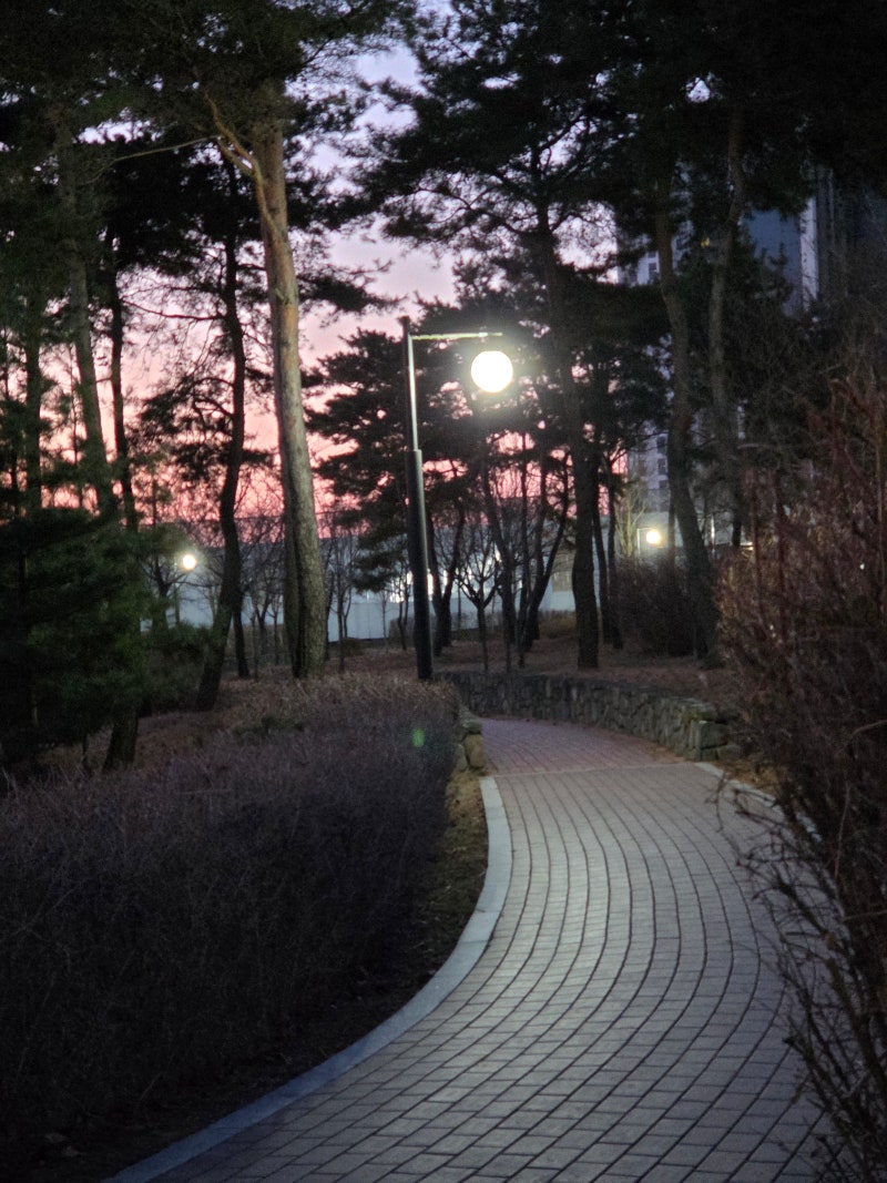 정책지식 2026.1.13. : 네이버 블로그