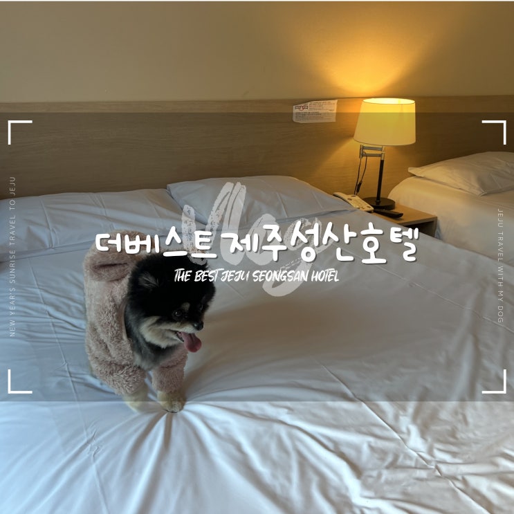  더베스트제주성산호텔 :: 제주 애견동반 숙소 후기 일출 명소 추천