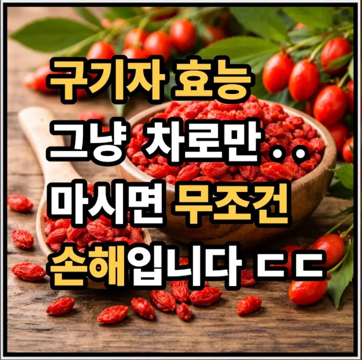  구기자 효능, 그냥 차로만 마시면 손해입니다 ㄷㄷ