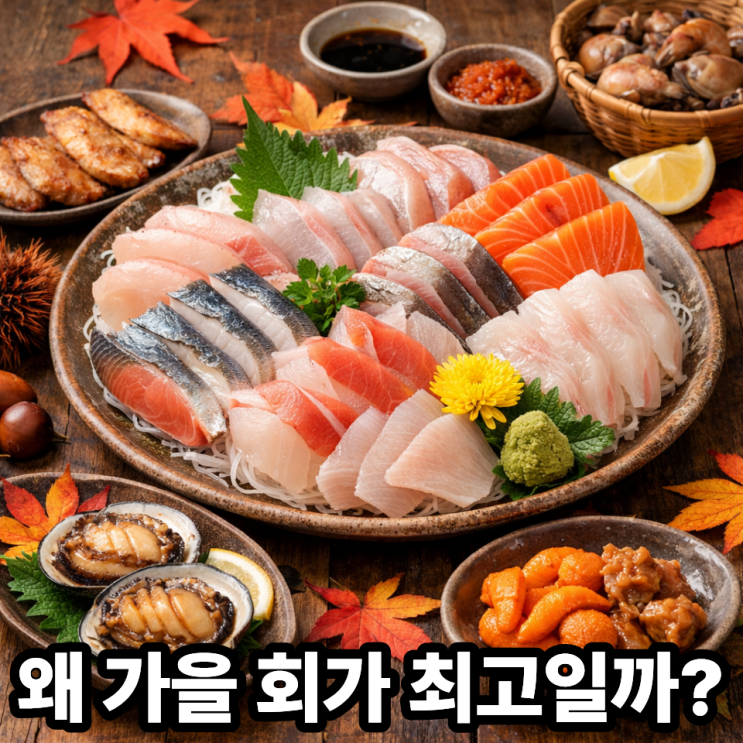   가을 제철 회가 인기 많은 이유｜왜 다들 이때 회를 찾을까?