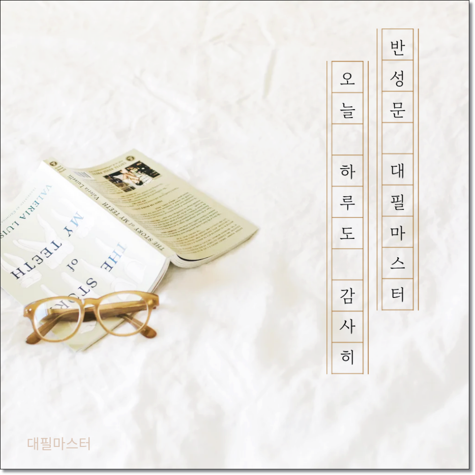 음주운전 양형자료 제출 비용 대필업체는