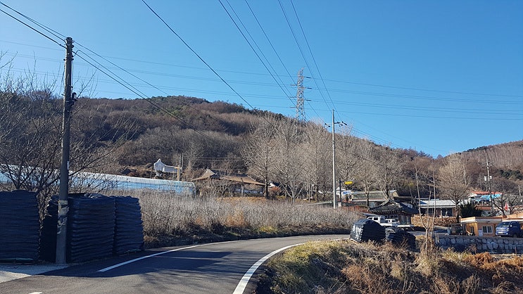 남근전시관 사진 3