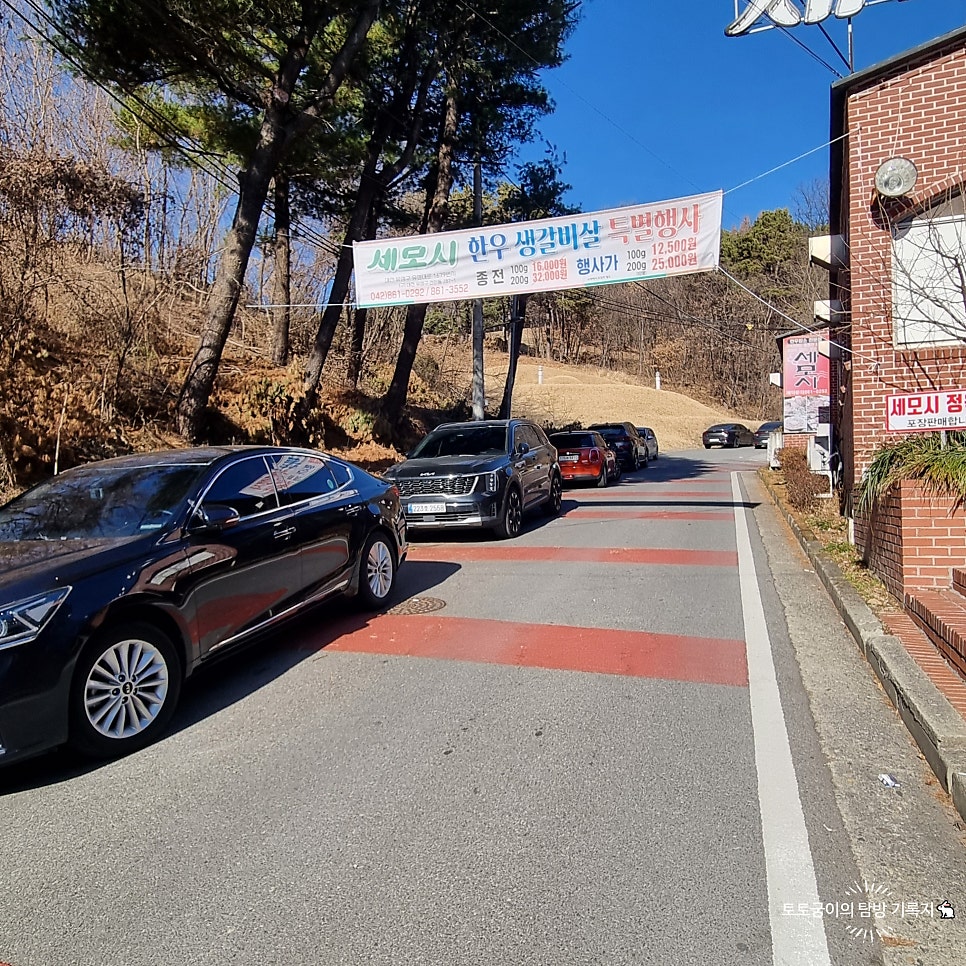 세모시 사진 6
