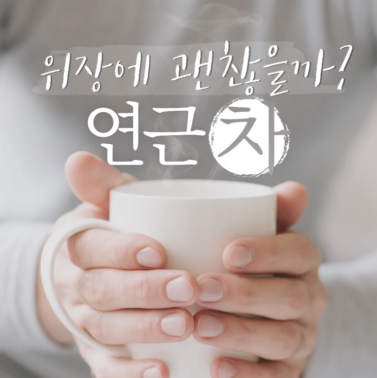  연근차 효능 부작용 위장에 좋은 차