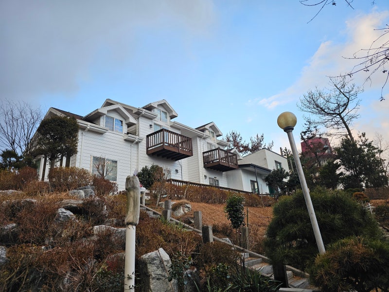 사진 3