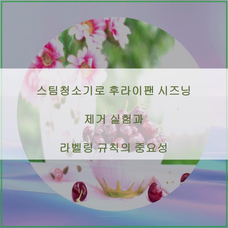 스팀청소기로 후라이팬 시즈닝 제거 실험과 라벨링 규칙의 중요성