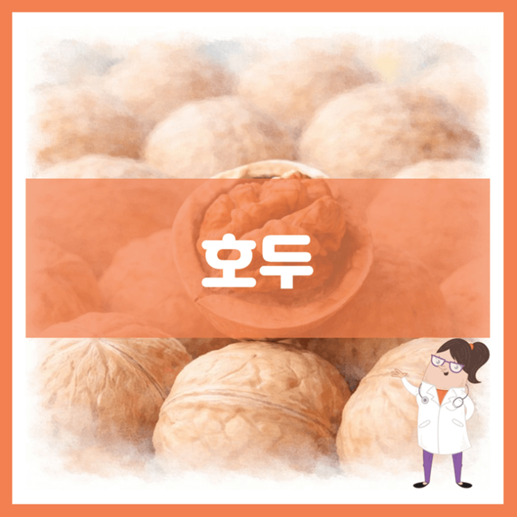  호두 효능 영양성분 부작용