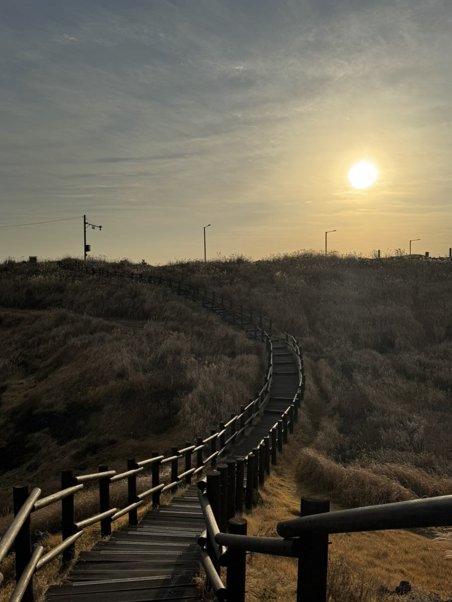 신삼미식당 사진 4