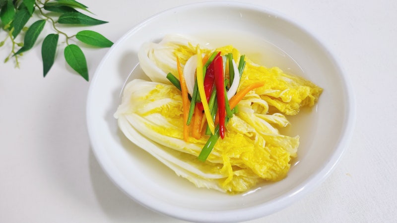배추 물김치 담그는방법 백김치 담그는법 아이김치 레시피 소화에좋은음식