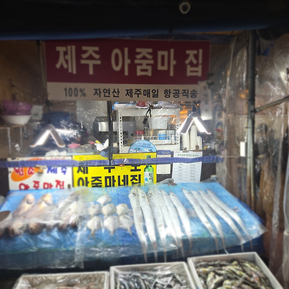제주도아줌마네집 사진 3