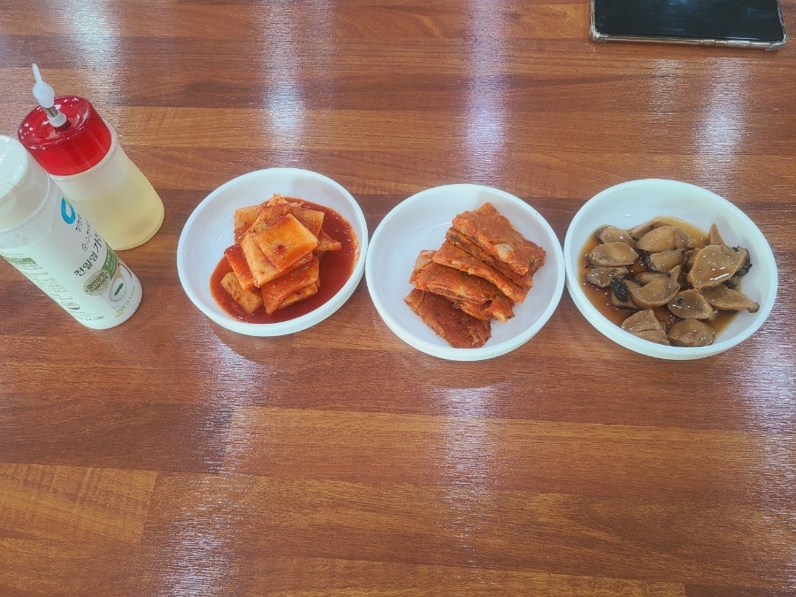손가동태 사진 5