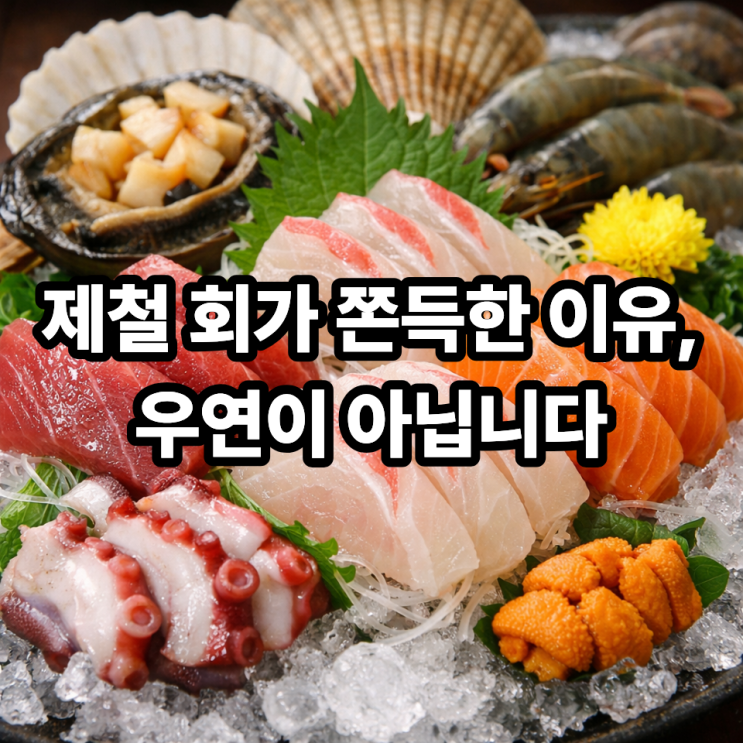   제철 회의 식감이 좋은 이유｜씹을수록 살아나는 진짜 차이