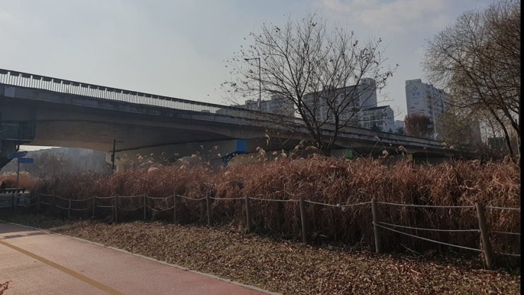  대구 드라이브 코스 추천 6곳 어디 어디?