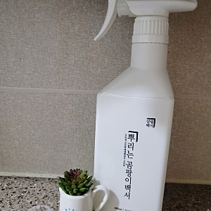 벽 곰팡이제거제 살림백서 뿌리는 곰팡이 백서