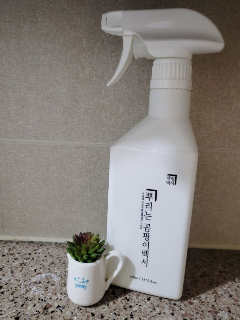 벽 곰팡이제거제 살림백서 뿌리는 곰팡이 백서