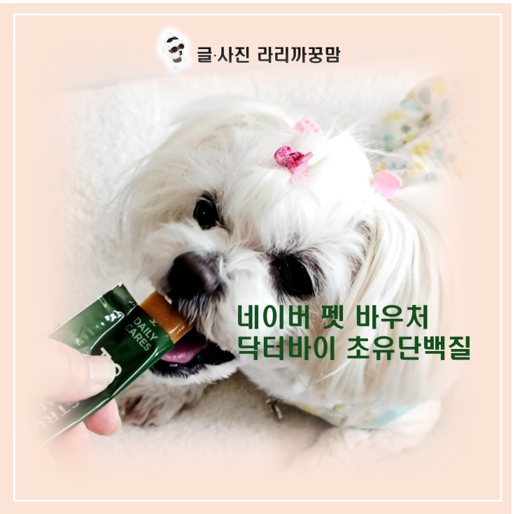  네이버 펫 바우처로 득템한 13살 꿍이의 근육 지킴이!  '닥터바이 초유단백질'