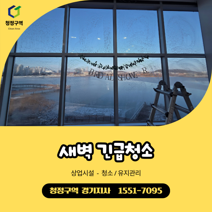  파티룸 긴급청소 후기