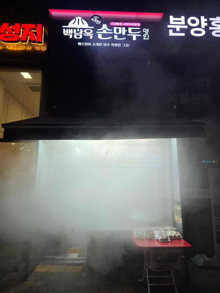  신도림 만두 맛집 추천! 백남옥달인손만두 찐빵·갈비만두 솔직 후기