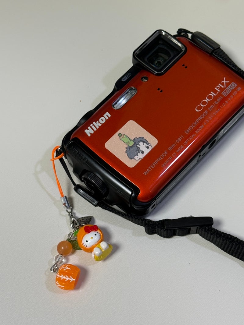 눈 오는 날..☃️ (니콘 쿨픽스 aw120 / nikon coolpix aw120)