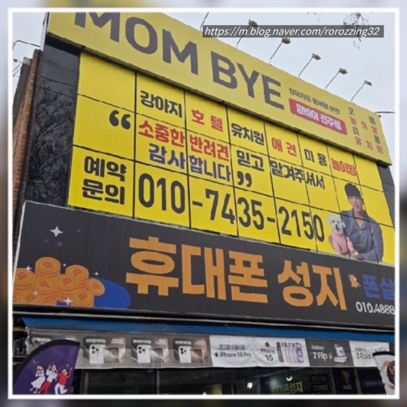 사진 6