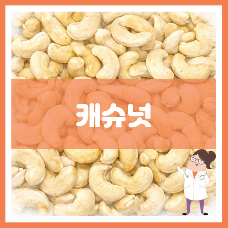  캐슈넛 효능 영양성분 부작용