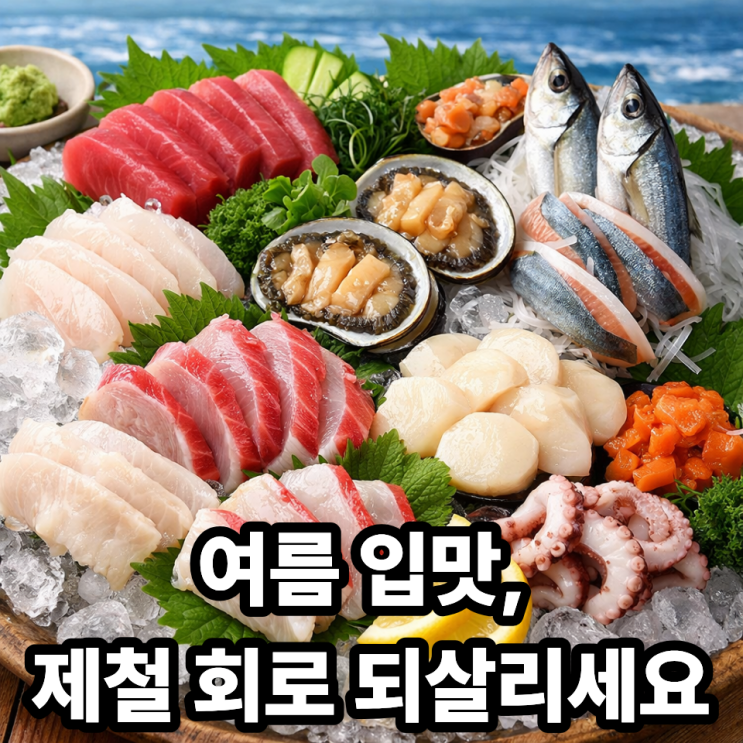  ️ 여름철 입맛 살리는 제철 회 추천｜더위에 지친 입맛, 바다로 깨우세요