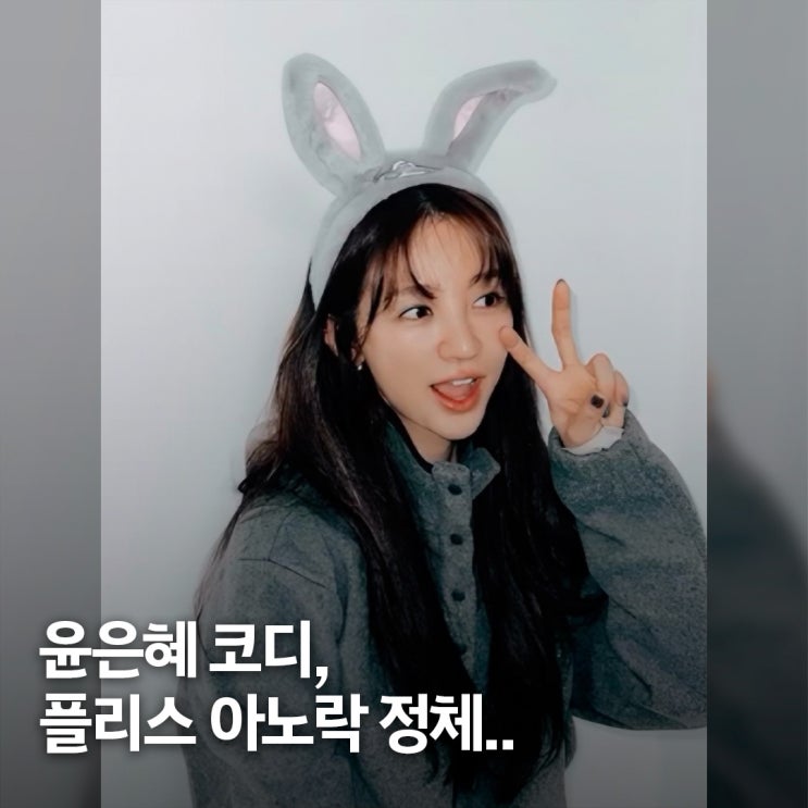  동안 무드.. 윤은혜 겨울 데일리룩 코디, 앤니즈 플리스 아노락 자켓