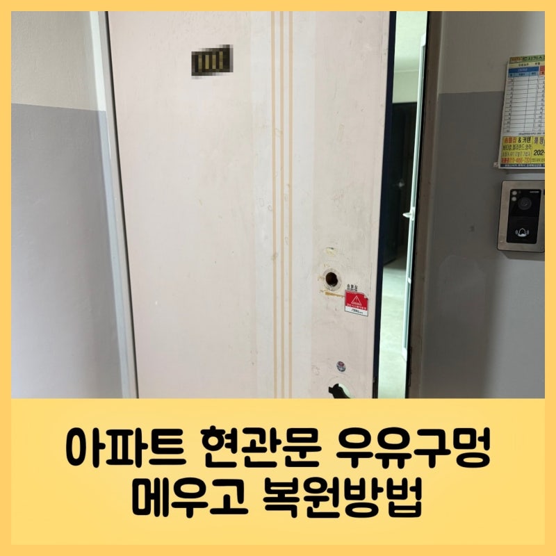 아파트 현관문 우유구멍 메우고 복원방법