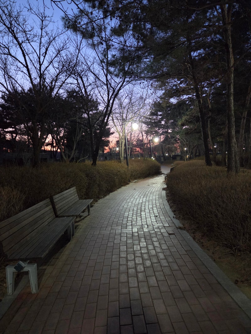 정책지식 2026.1.13. : 네이버 블로그