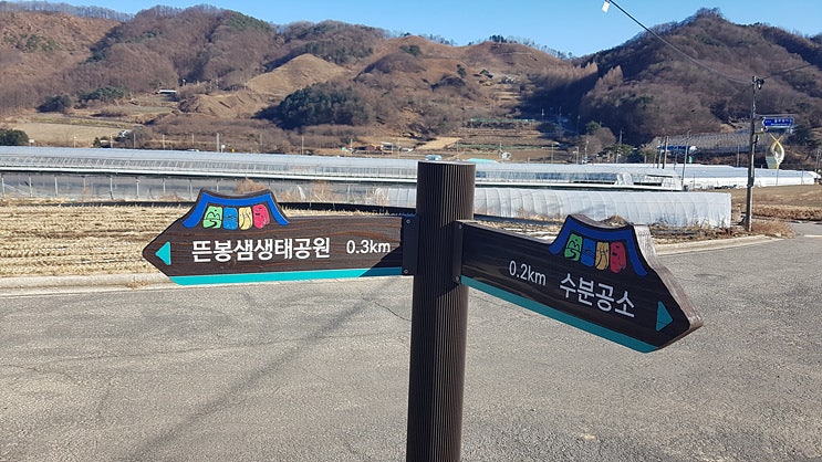 남근전시관 사진