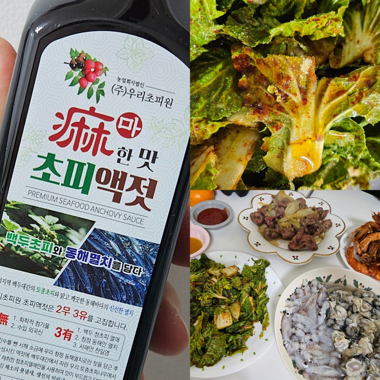 제철맞은 봄동겉절이, 초피액젓으로 맛잡기!