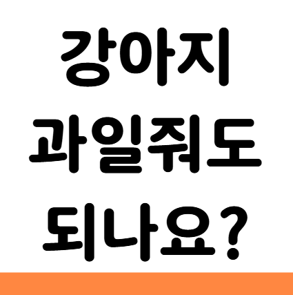  강아지 딸기 블루베리 체리 줘도 되나요