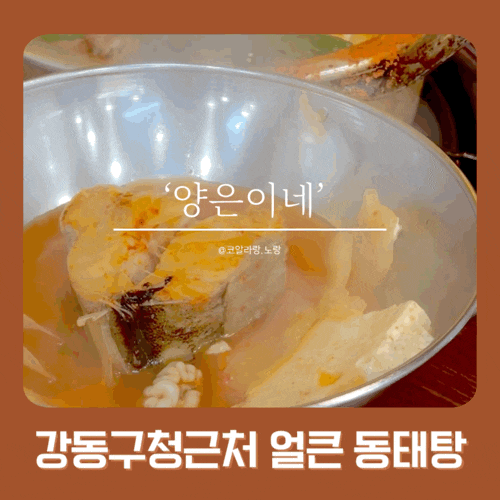  강동구청 양은이네 얼큰 동태탕 | 부모님도 만족한 동네 맛집